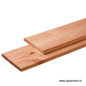 Plank Douglas geschaafd 14x1,6 cm onbehandeld