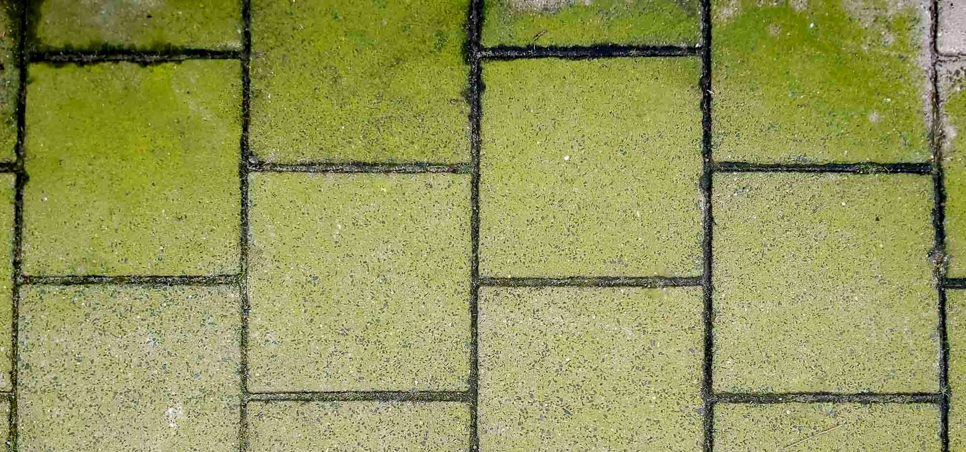 groene_aanslag_beton